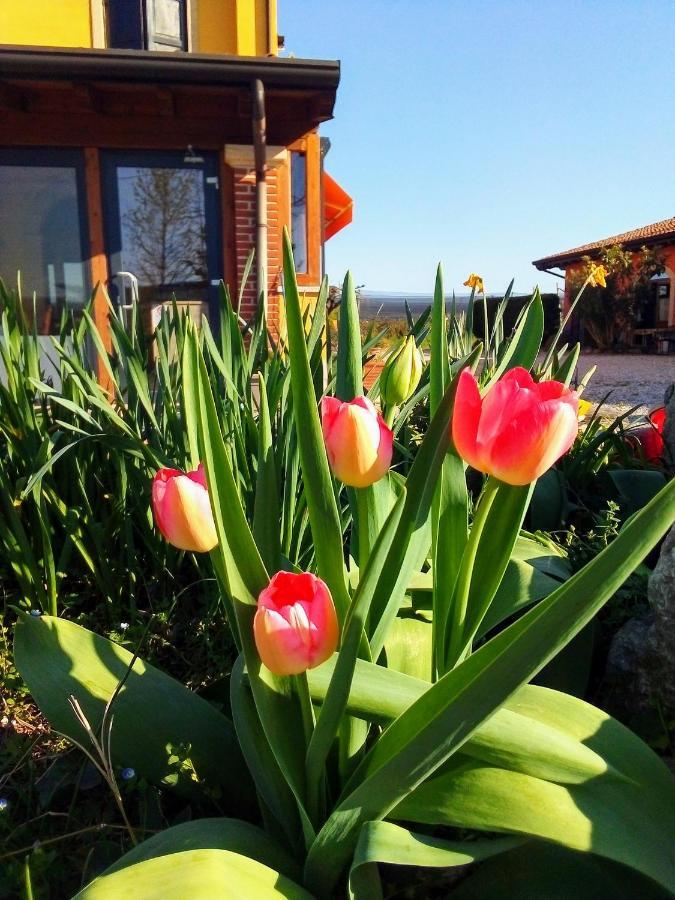 Agriturismo Fior Di Maggio Pescantina Eksteriør bilde