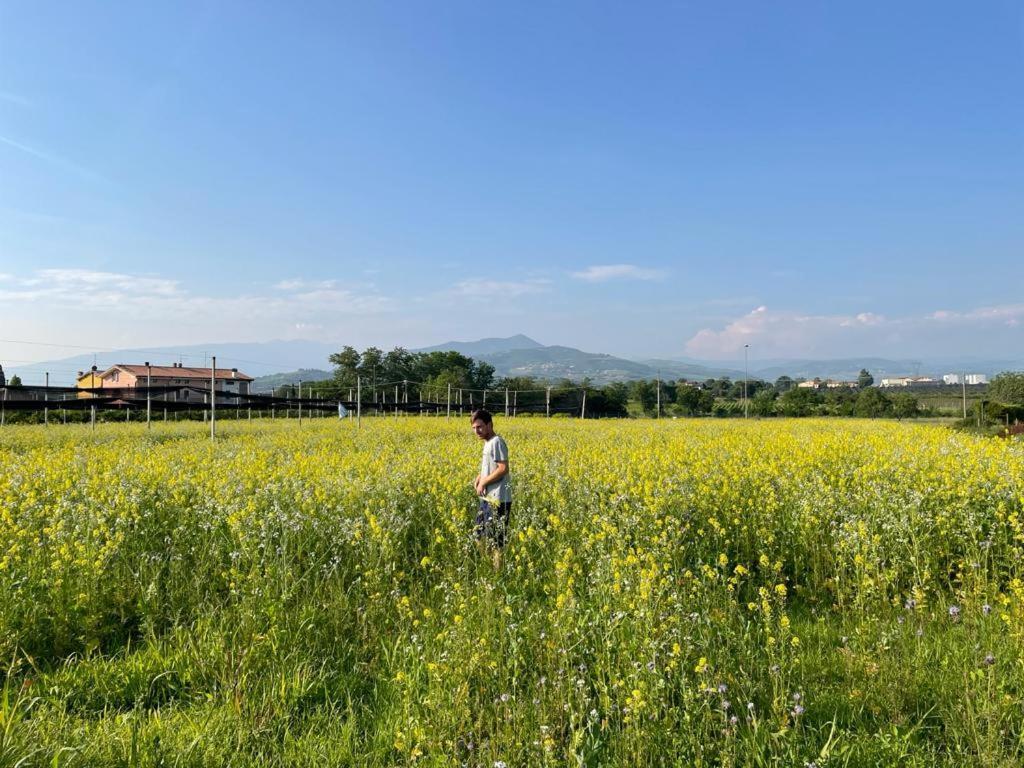 Agriturismo Fior Di Maggio Pescantina Eksteriør bilde