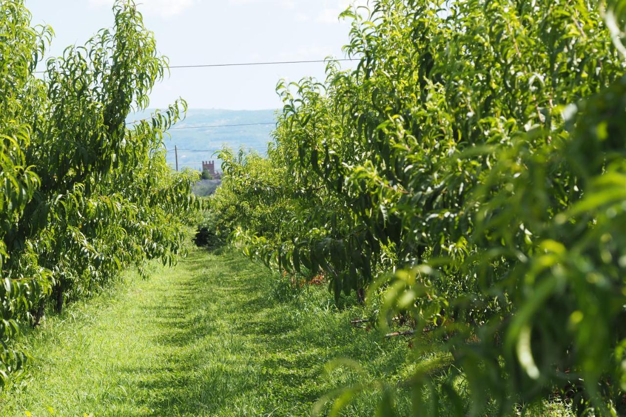 Agriturismo Fior Di Maggio Pescantina Eksteriør bilde