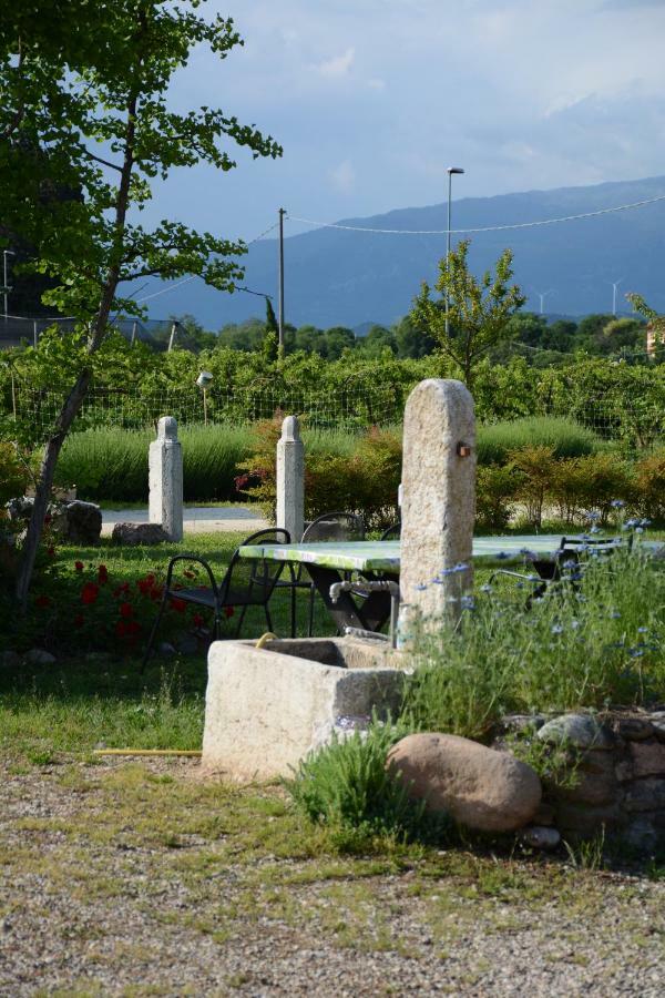 Agriturismo Fior Di Maggio Pescantina Eksteriør bilde